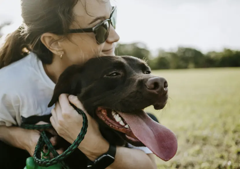 ¿Qué necesitamos de ti para mover lo que importa?